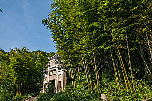 醫(yī)院請個護(hù)工多少錢？為您揭秘醫(yī)療護(hù)理費用的真相！