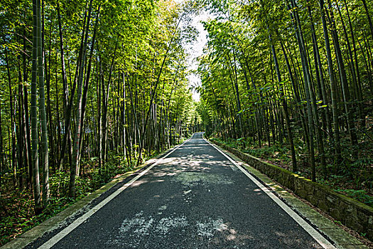 合肥護(hù)工多少錢(qián)一天？選擇合肥護(hù)工服務(wù)的詳細(xì)解析