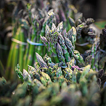 金華住家保姆工資多少？深度解析金華保姆行業薪資現狀