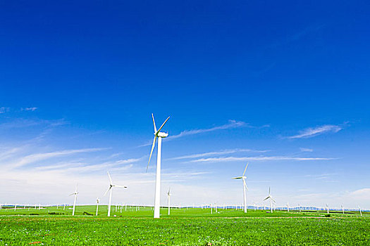 輕松解決家政需求，五八家政電話號碼是多少？