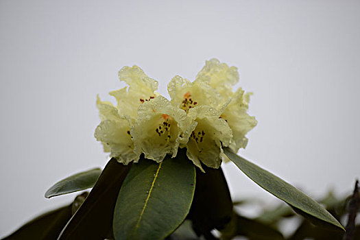 鄭州培訓(xùn)保姆多少錢(qián)？選擇合適的培訓(xùn)，讓家政服務(wù)更專業(yè)