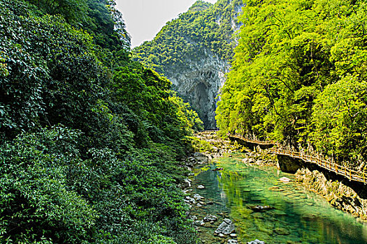 上海月兒嫂工資是多少？了解月嫂行業薪資現狀與發展趨勢