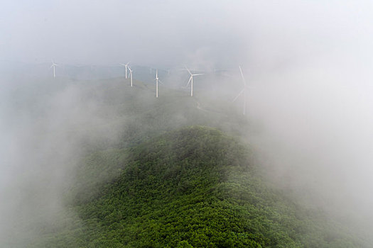山西家政工資大揭秘：行業前景和薪資水平分析