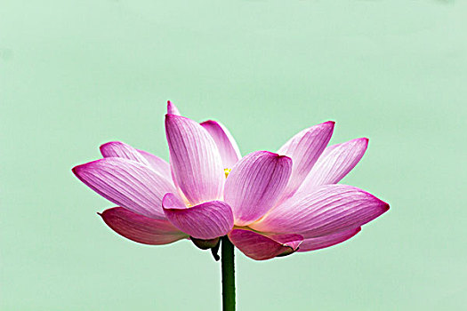 醫(yī)院病人護(hù)工多少錢一天？專業(yè)護(hù)理讓您安心選擇