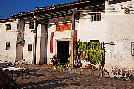住家家教多少錢一小時？探秘家教市場的收費與價值
