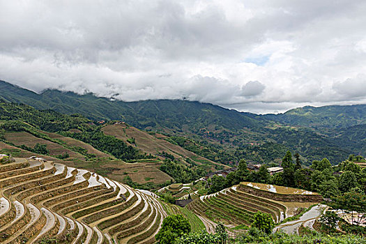 西安保姆住家多少錢？揭秘西安住家保姆服務的費用與選擇指南