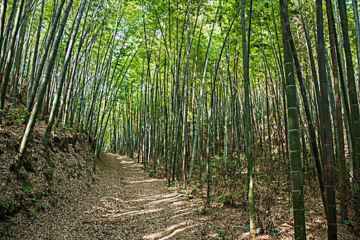 合肥中點(diǎn)工一小時(shí)多少錢？為您揭秘合肥點(diǎn)工市場的真實(shí)情況！