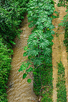 育兒嫂一月多少天，了解育兒嫂的工作周期與費用，助力家庭和諧