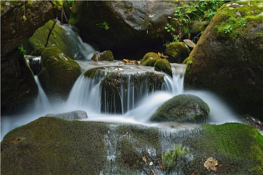 青島住家保姆大概多少錢(qián)？了解價(jià)格，選擇最合適的服務(wù)