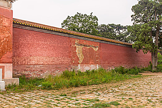 家政公司一年能掙多少錢？揭秘行業(yè)盈利潛力與發(fā)展前景