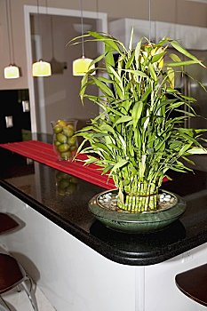 鐘點(diǎn)工多少錢一個(gè)小時(shí)？讓你了解家政服務(wù)的最新價(jià)格和選擇技巧