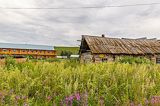 龍崗住家保姆費(fèi)用多少錢？選擇住家保姆的最優(yōu)方案解析