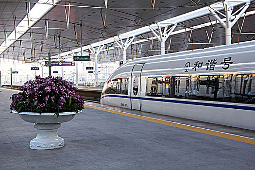 深圳住家保姆多少錢？選擇住家保姆的性價比與實用性分析