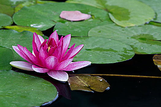 沈陽(yáng)育兒嫂價(jià)格揭秘：高品質(zhì)服務(wù)，讓您的寶寶成長(zhǎng)無(wú)憂