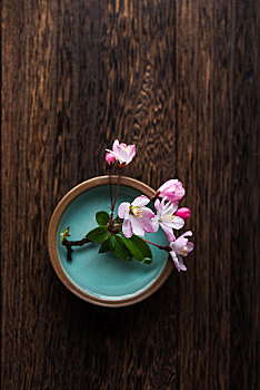 蕪湖保姆多少錢一個月？了解蕪湖保姆服務的市場現狀與價格分析