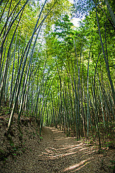 青島城陽的月嫂多少錢？選擇月嫂服務(wù)的關(guān)鍵因素分析