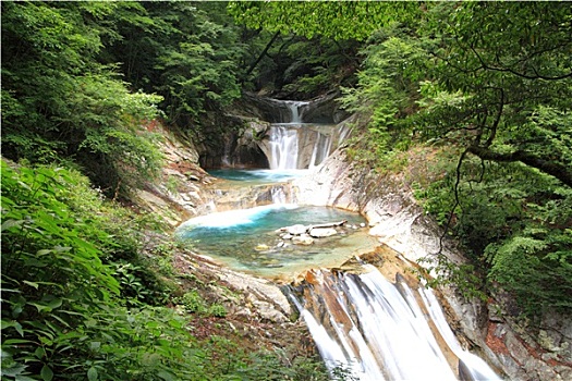 四川家政服務(wù)價(jià)格解析：一天多少錢，你需要知道的關(guān)鍵因素