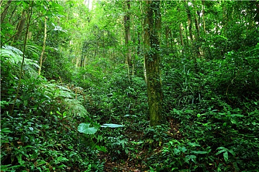 深圳家務工多少錢一天？家庭幫手的價值與市場行情揭秘