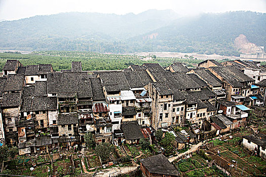 廈門全天保姆多少錢？揭秘廈門保姆市場的價格與選擇！