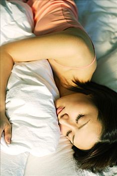 俄羅斯買貓運(yùn)費(fèi)多少？掌握這些要點(diǎn)，帶你的毛球回家不再難！