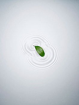 青浦區(qū)鐘點(diǎn)工保姆多少錢？專業(yè)服務(wù)解答讓您安心選擇