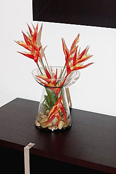 西安育嬰師培訓(xùn)費(fèi)多少錢？為你的未來投資，開啟成功職業(yè)之路！