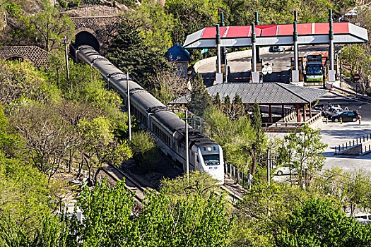 在沈陽住家保姆多少錢？揭秘保姆行業背后的真實價格