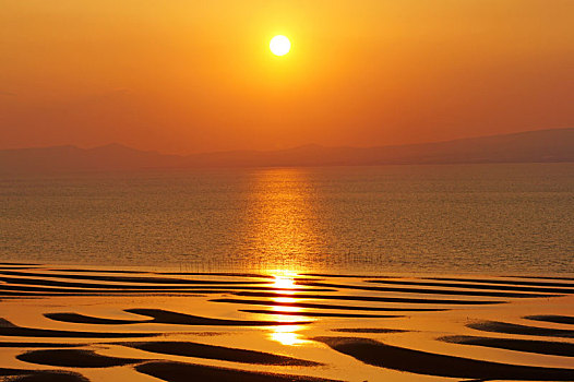 川沙鐘點(diǎn)工多少錢(qián)？探索川沙地區(qū)鐘點(diǎn)工服務(wù)的價(jià)格與質(zhì)量