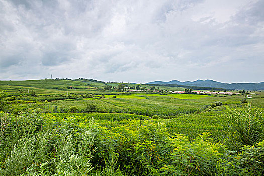 上海作家保姆工資多少？一探上海保姆行業的薪酬與前景