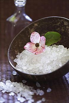 大連做保姆多少錢？揭開保姆行業(yè)的真實(shí)價(jià)格