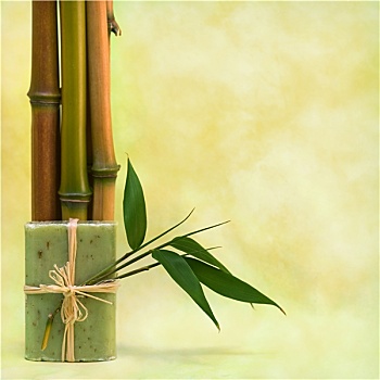 醫(yī)院做護(hù)工多少錢一天？了解價(jià)格與服務(wù)內(nèi)容，幫你做出明智選擇