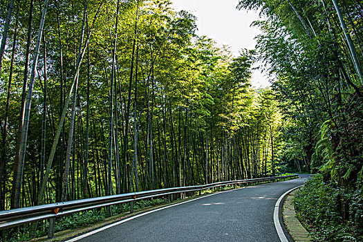 山西月嫂一月多少錢？揭開(kāi)月嫂行業(yè)的真實(shí)面紗