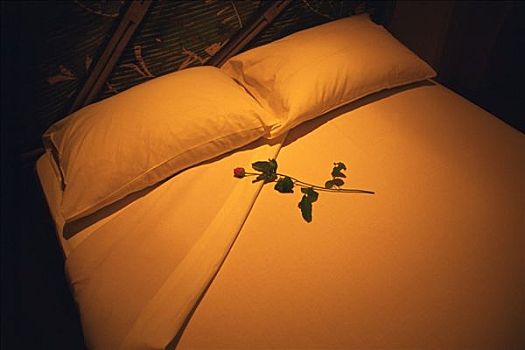 《風(fēng)平浪靜》票房預(yù)測：這部電影為何值得期待？