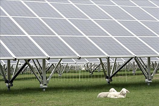 花火模式開發多少錢？揭秘成本與優勢，助力企業騰飛