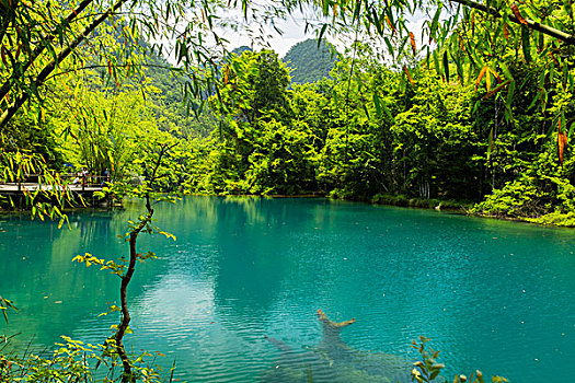 杭州住家阿姨工資多少？揭秘這個行業的薪資與發展前景