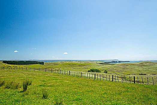 青島地漏疏通一般多少錢？讓你輕松解決家居問題