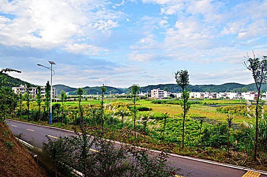 奪冠總投資多少錢？解密背后巨額資金與市場運作