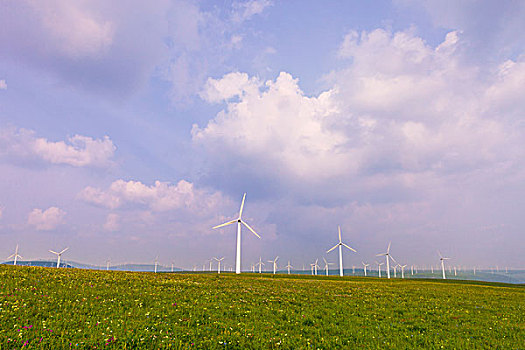 優之月家政電話多少？讓家務從此變得輕松