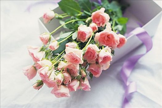 如何選擇護(hù)理小時(shí)工？了解護(hù)理小時(shí)工的價(jià)格和服務(wù)