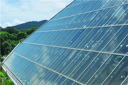 溫暖的抱抱電影票房多少：感動與溫情的背后