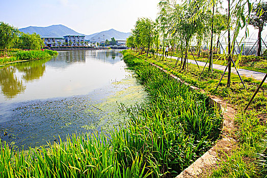 重慶住家保姆工資多少？揭開家政行業的薪資秘密
