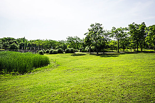 上海接小孩放學(xué)多少錢？揭秘家長們最關(guān)心的放學(xué)接送費(fèi)用！