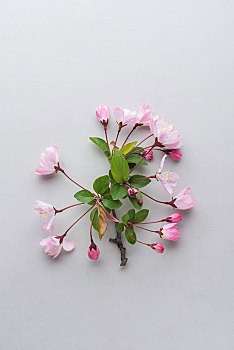 綿陽(yáng)月嫂培訓(xùn)班多少錢(qián)？揭開(kāi)月嫂行業(yè)的秘密