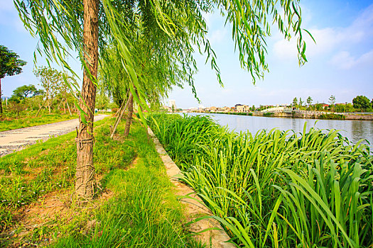 深圳羅湖保姆工資多少錢？深度揭秘背后的薪資趨勢與市場需求