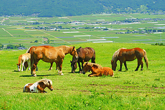 寶安月嫂培訓(xùn)多少錢(qián)？讓你輕松了解如何選擇專(zhuān)業(yè)月嫂培訓(xùn)機(jī)構(gòu)