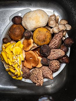 珠海親子鑒定費用多少？揭秘親子鑒定的費用與注意事項