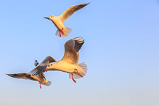 再見(jiàn)少年的成本多少：青春的代價(jià)與成長(zhǎng)的價(jià)值