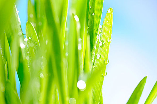 蘇州保姆工資揭秘：高薪背后的秘密與行業趨勢