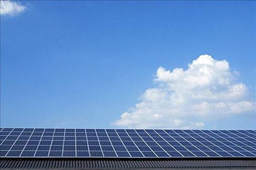 《除暴電影總投資多少錢？揭秘大銀幕背后的巨額資金》