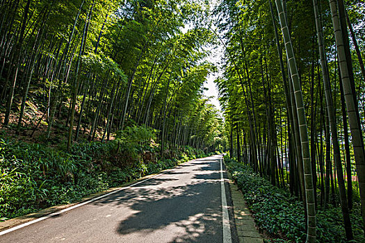 《唐探3》票房分析：創下新紀錄，票房背后故事不容錯過